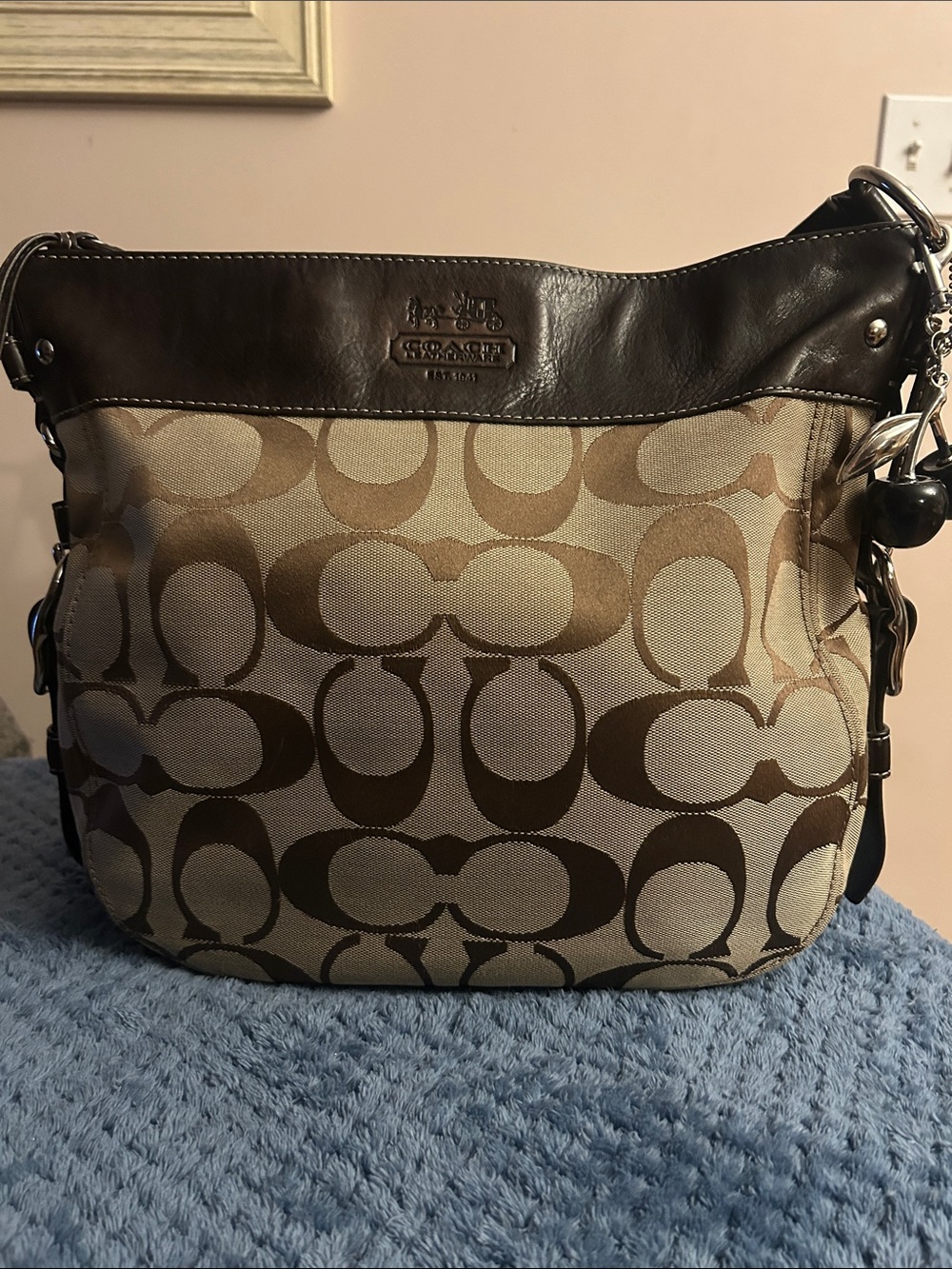 Vintage Coach Brown Signature Canvas Zoe Hobo Bag with Dark Brown Leather Trim